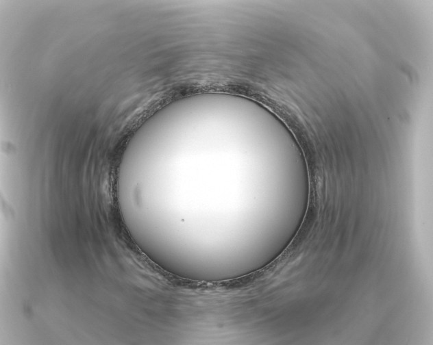 X0000091361250200708101048