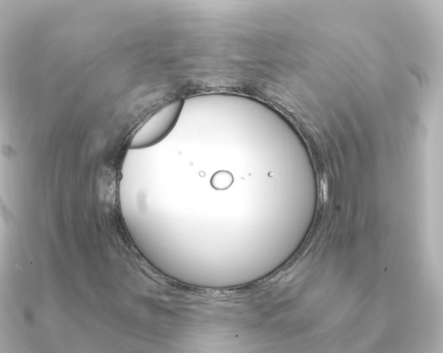 X0000091361251200708101048