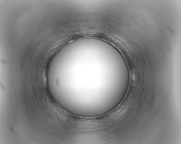 X0000091361252200708101048