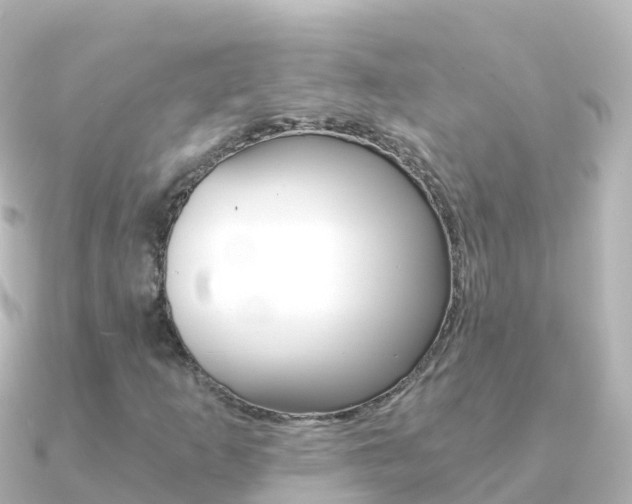 X0000091361253200708101048