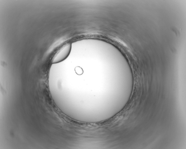 X0000091361255200708101048