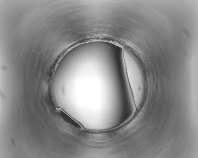 X0000091361257200708101048