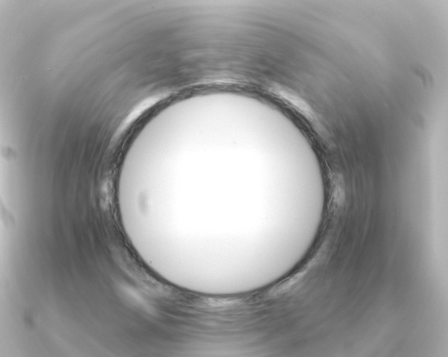 X0000091361258200708101048