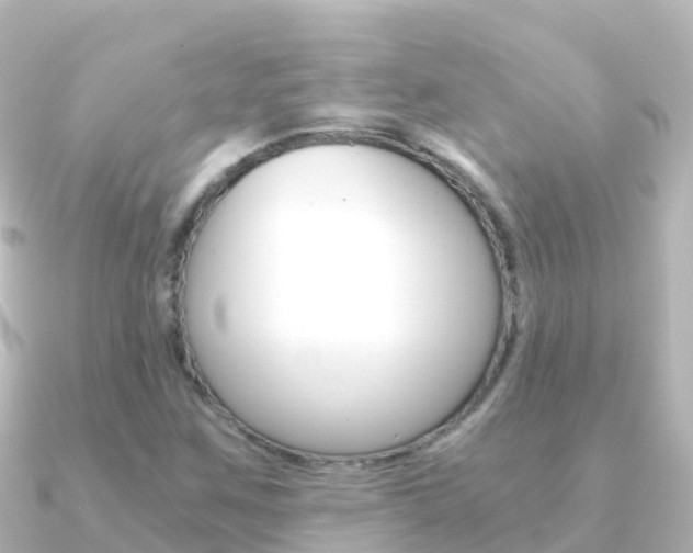 X0000091361259200708101048