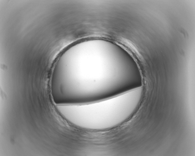 X0000091361260200708101048