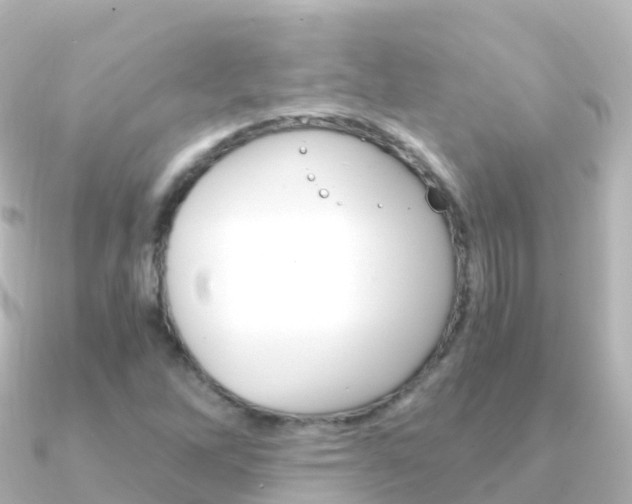 X0000091361262200708101048