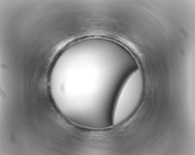 X0000091361264200708101048