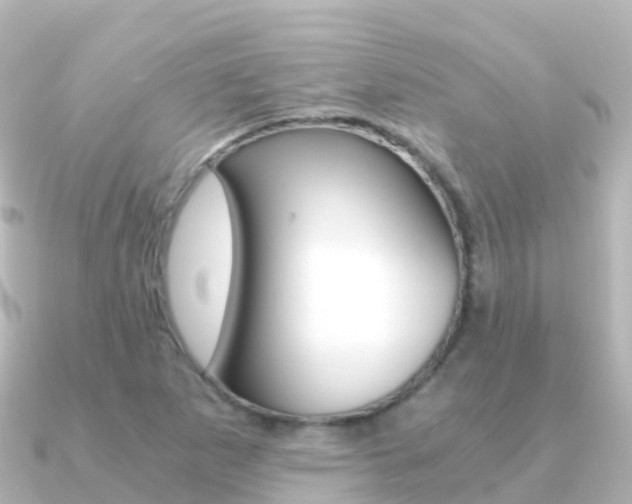 X0000091361265200708101048