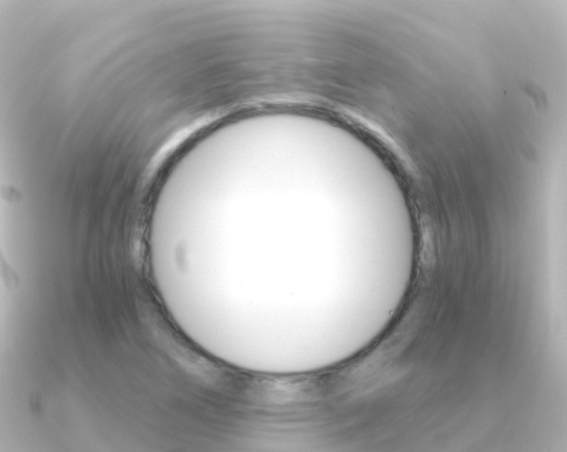 X0000091361266200708101048
