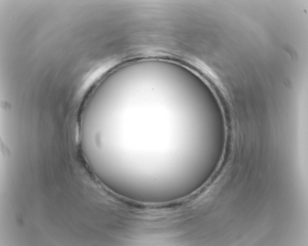 X0000091361269200708101048