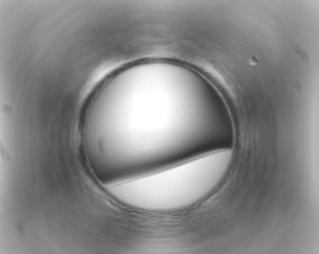 X0000091361270200708101048