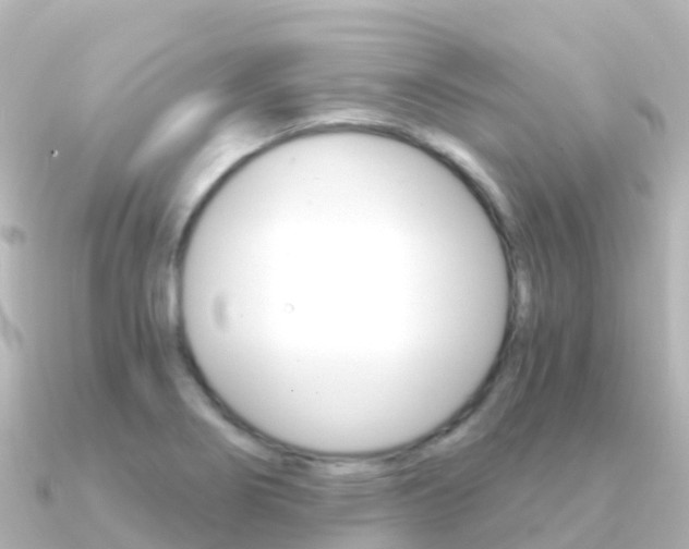 X0000091361274200708101048