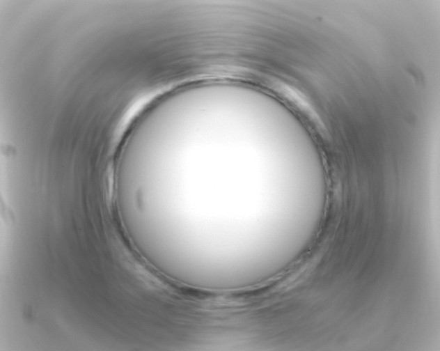 X0000091361275200708101048