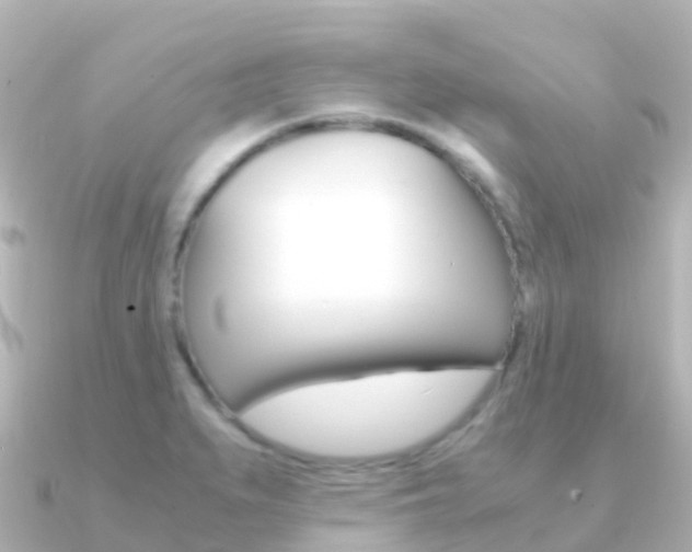 X0000091361279200708101048