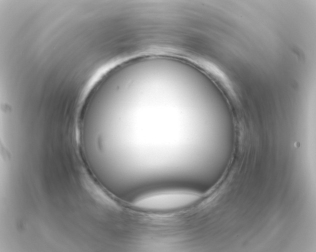 X0000091361280200708101048