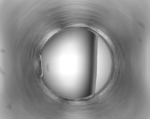 X0000091361281200708101048
