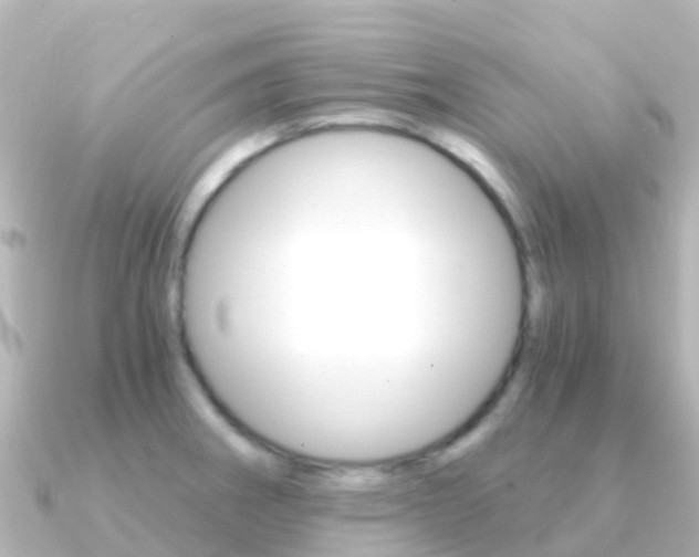 X0000091361282200708101048