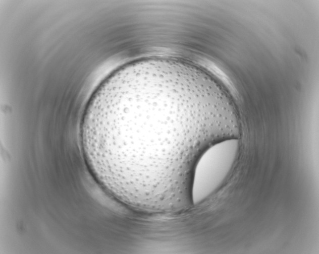 X0000091361283200708101048