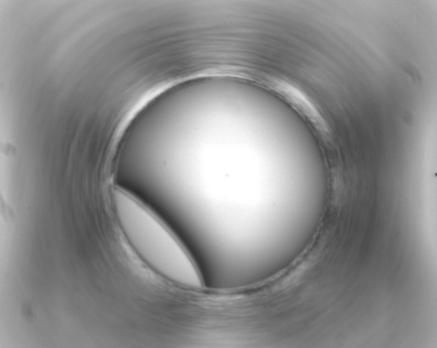 X0000091361284200708101048