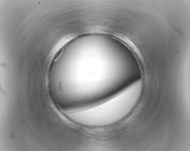 X0000091361285200708101048
