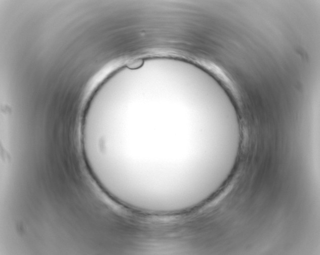 X0000091361286200708101048