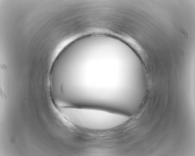 X0000091361287200708101048