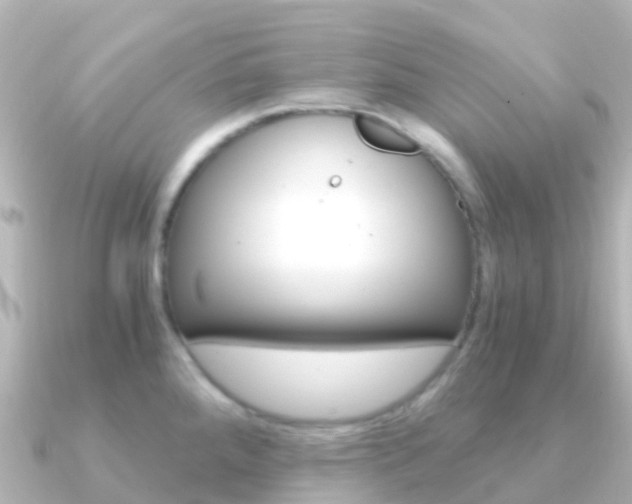 X0000091361288200708101048
