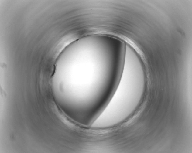 X0000091361289200708101048