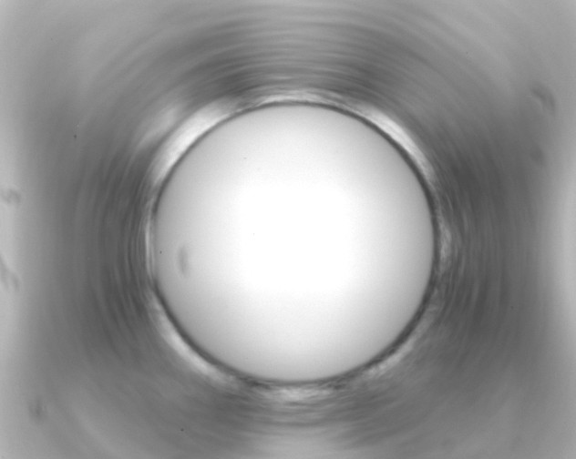 X0000091361290200708101048