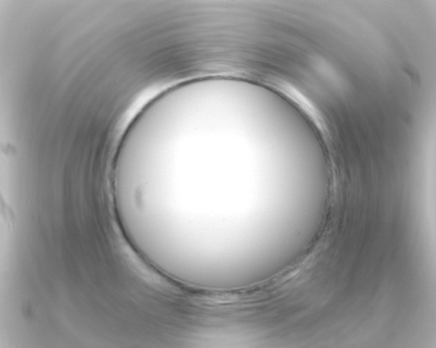 X0000091361291200708101048