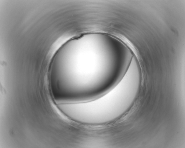 X0000091361293200708101048