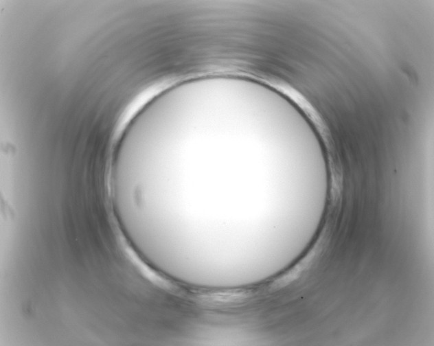 X0000091361294200708101048