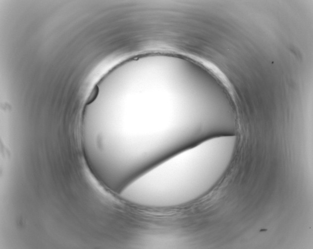 X0000091361295200708101048