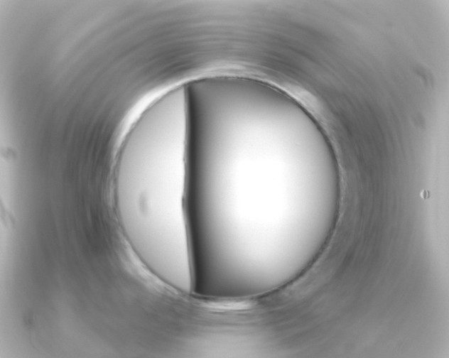 X0000091361296200708101048