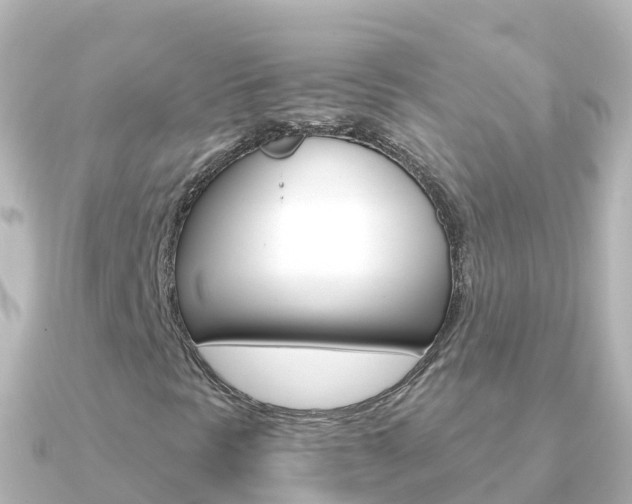 X0000091361297200708101047