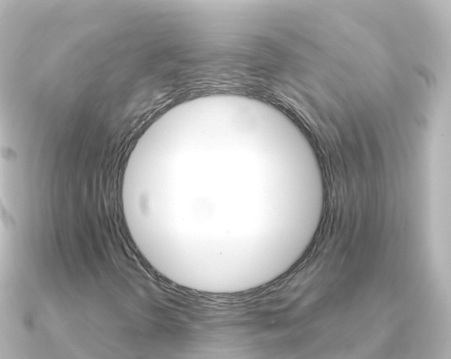 X0000091361298200708101047