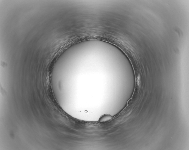 X0000091361299200708101047