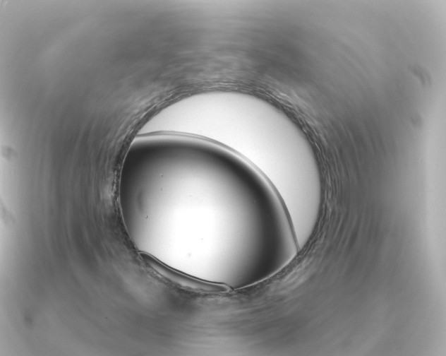 X0000091361300200708101047