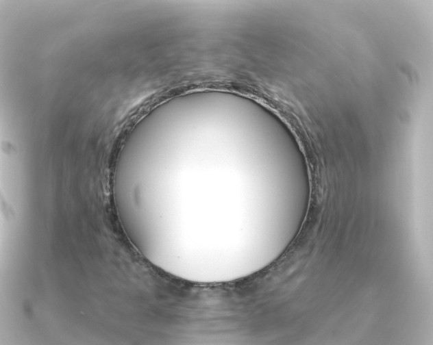 X0000091361301200708101047