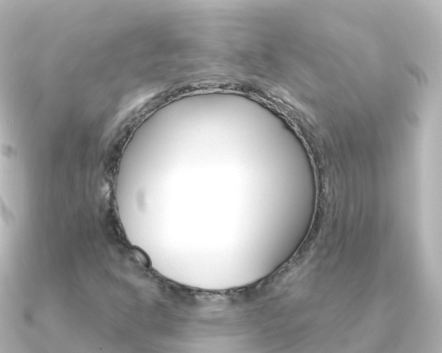 X0000091361302200708101047