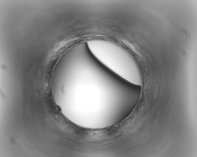 X0000091361303200708101047