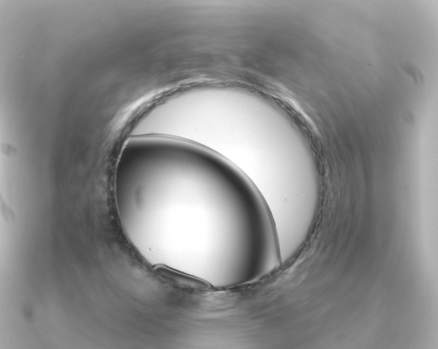 X0000091361304200708101047