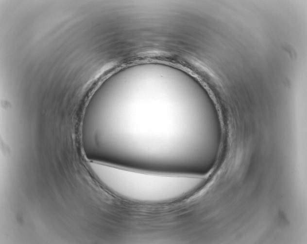 X0000091361305200708101047