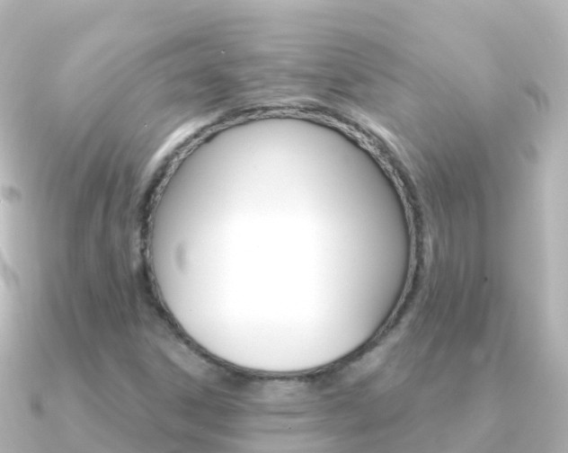 X0000091361306200708101047