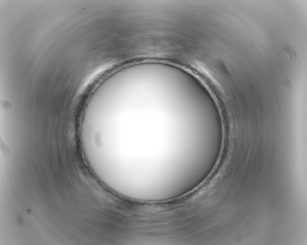 X0000091361307200708101047