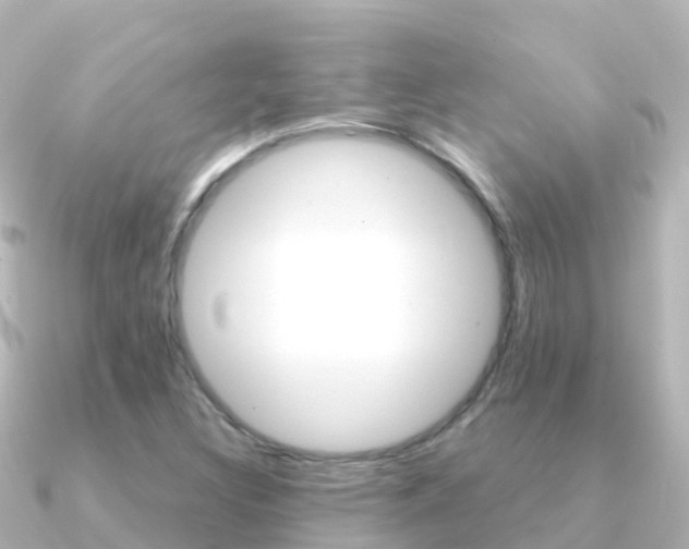 X0000091361308200708101047