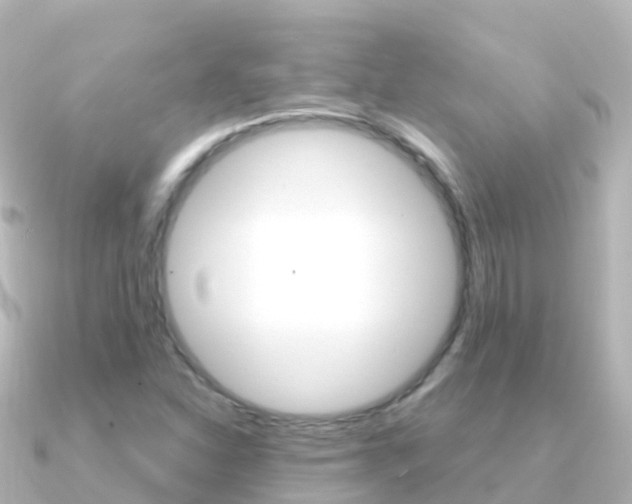 X0000091361310200708101047