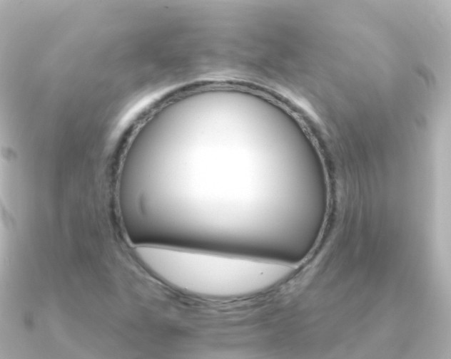 X0000091361311200708101047