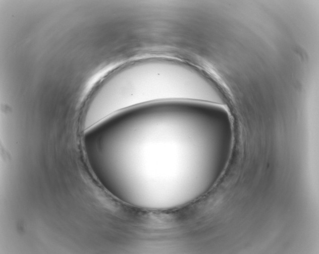 X0000091361312200708101047