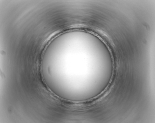 X0000091361313200708101047